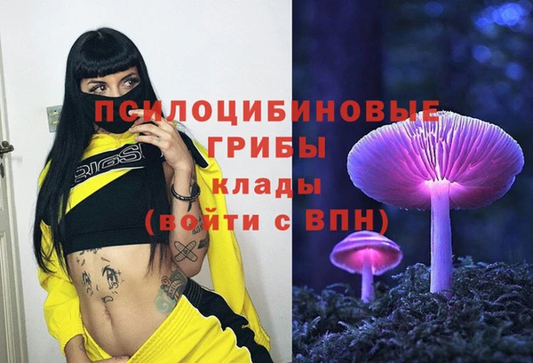 ECSTASY Гусиноозёрск