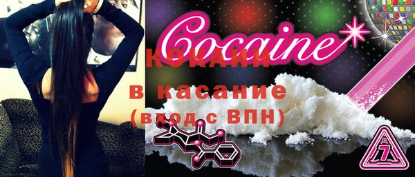 сатива Гусев