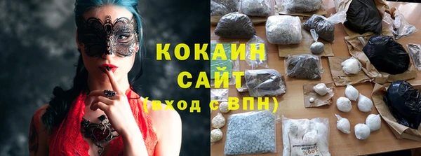 дживик Гусь-Хрустальный