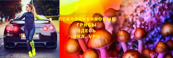 дживик Гусь-Хрустальный
